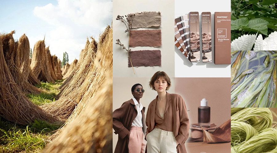 Exploring Eco-friendly Fabrics: Supporting Sustainable Fashion 4 Hemp