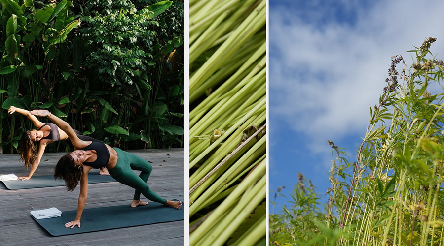 Discover the Top Trends in Yoga Tops for the Upcoming Season 26 Sustainable Materials Trend