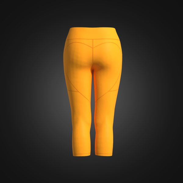 Recyclable Ladies Yoga Pants High Waisted 23 Inch Inseam Leggings 4 100