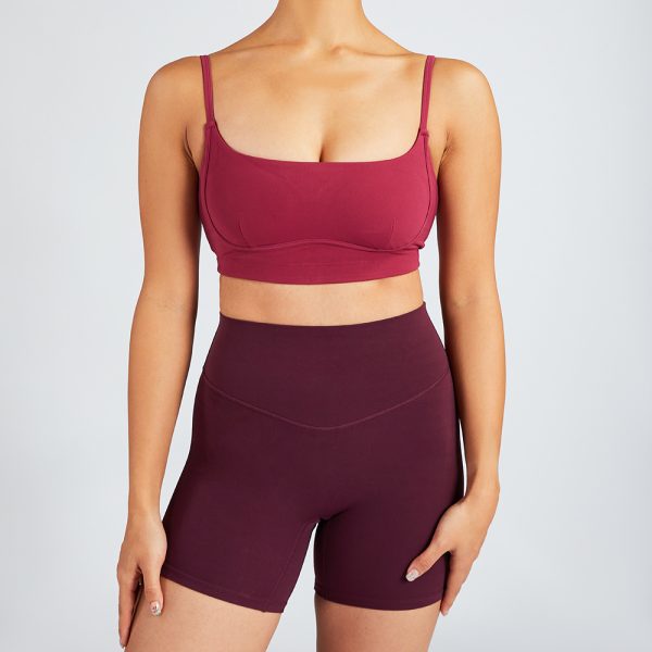 Fitness Short Pants Four-Way Stretch Solid Color Exercise Shorts 2 yoga shorts sets