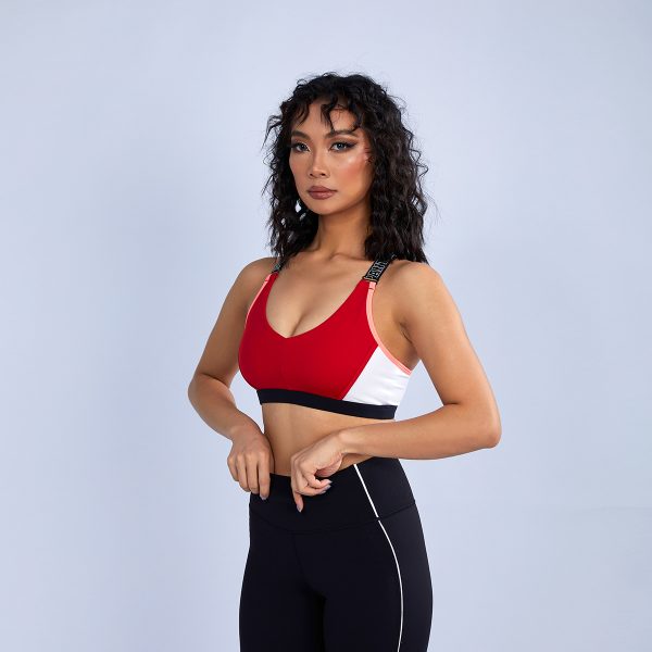 Colorblock V Neck Sports Bra (2)